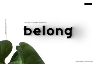 Belong Typeface for Polished Brand Identity