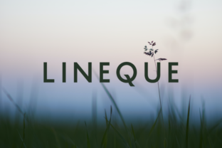 Lineque: The Strong Sans Serif Font for Modern Brands