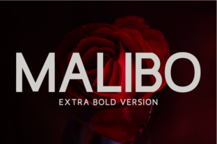 Malibo Extra Bold Typeface Review