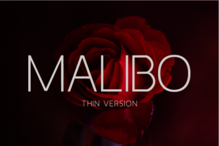 Malibo Thin Typeface for Modern Web Design