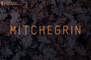 Mitchegrin Font: A Timeless Sans Serif for Branding