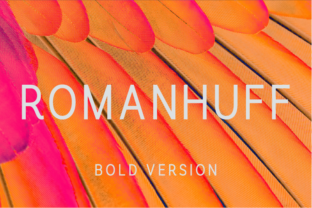 Romanhuff Bold: The Minimalist Typeface for Modern Brands